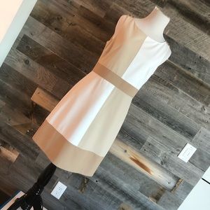 WHBM Blocked Dress, Size 4. EUC.